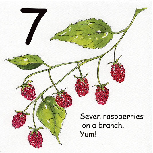 Seven raspberries on a branch.
