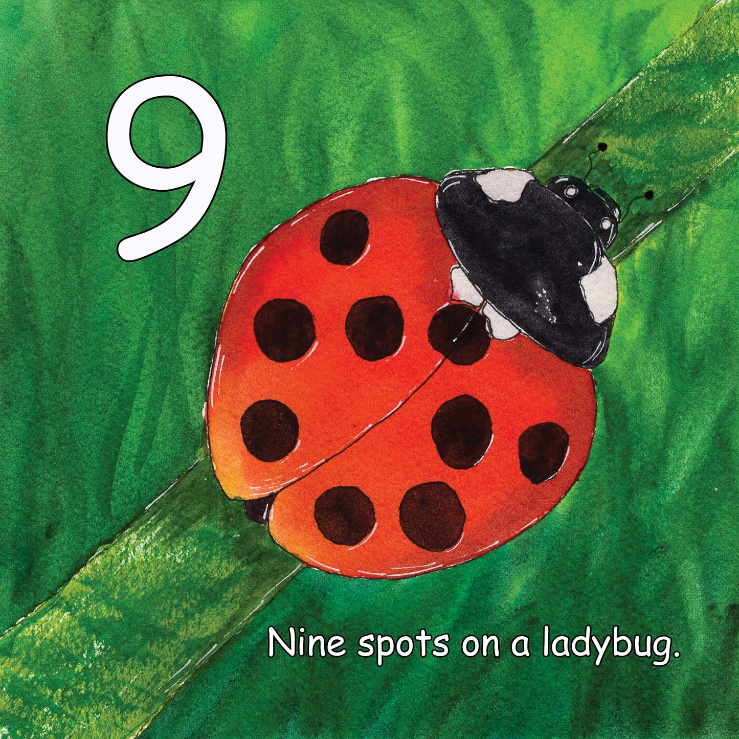 Nine spots on a ladybug.