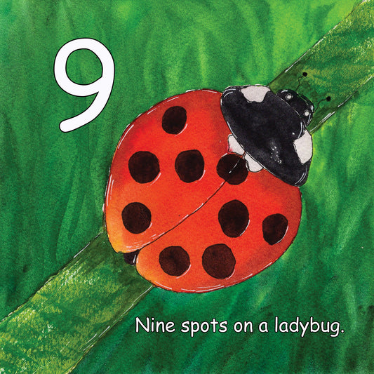 Nine spots on a ladybug.