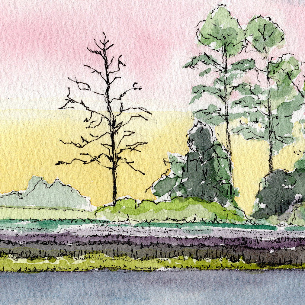 Jane's Island. Landscape in watercolor and ink.
