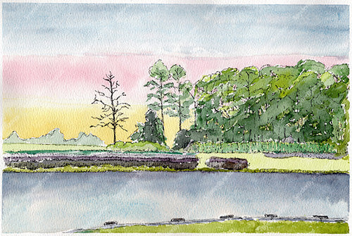 Jane's Island. Landscape in watercolor and ink.