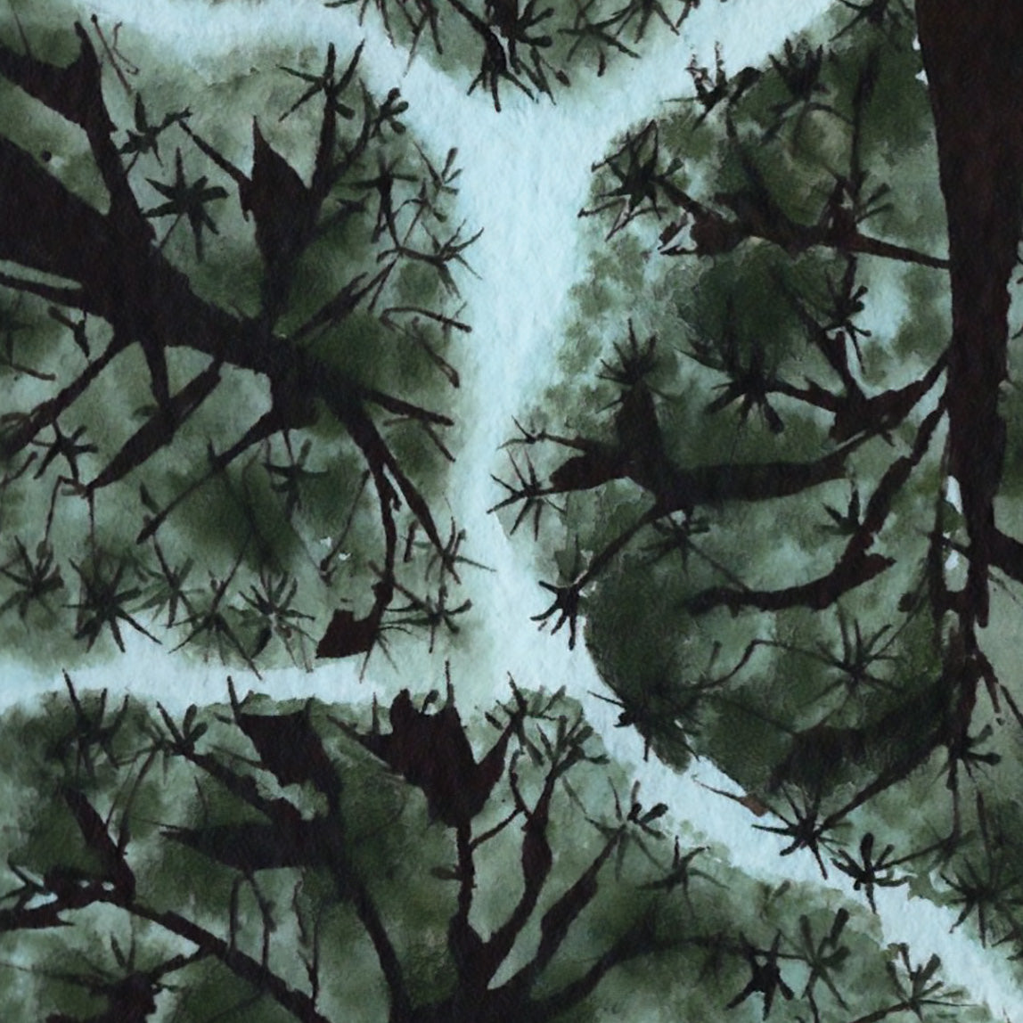 Queen of the South East. Botanical abstract.