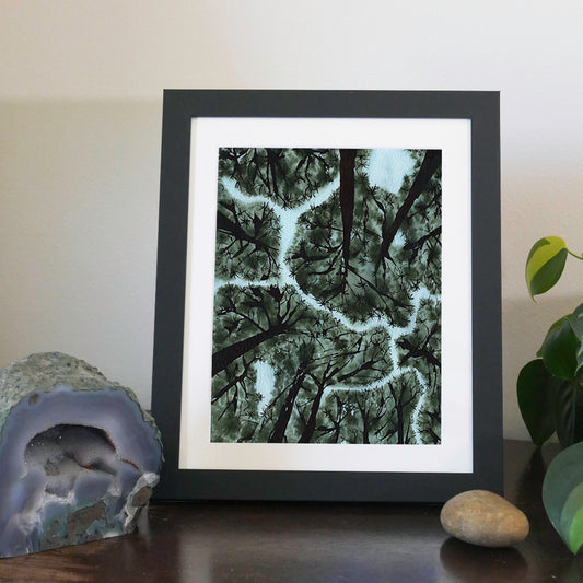 Queen of the South East. Botanical abstract.