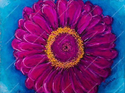 One Big Happy Zinnia. Art print.