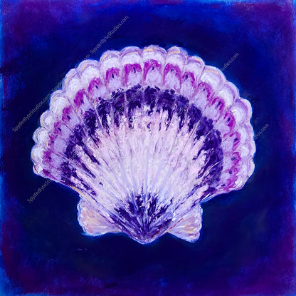 Purple Scallop Shell