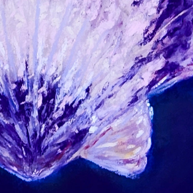 Purple Scallop Shell