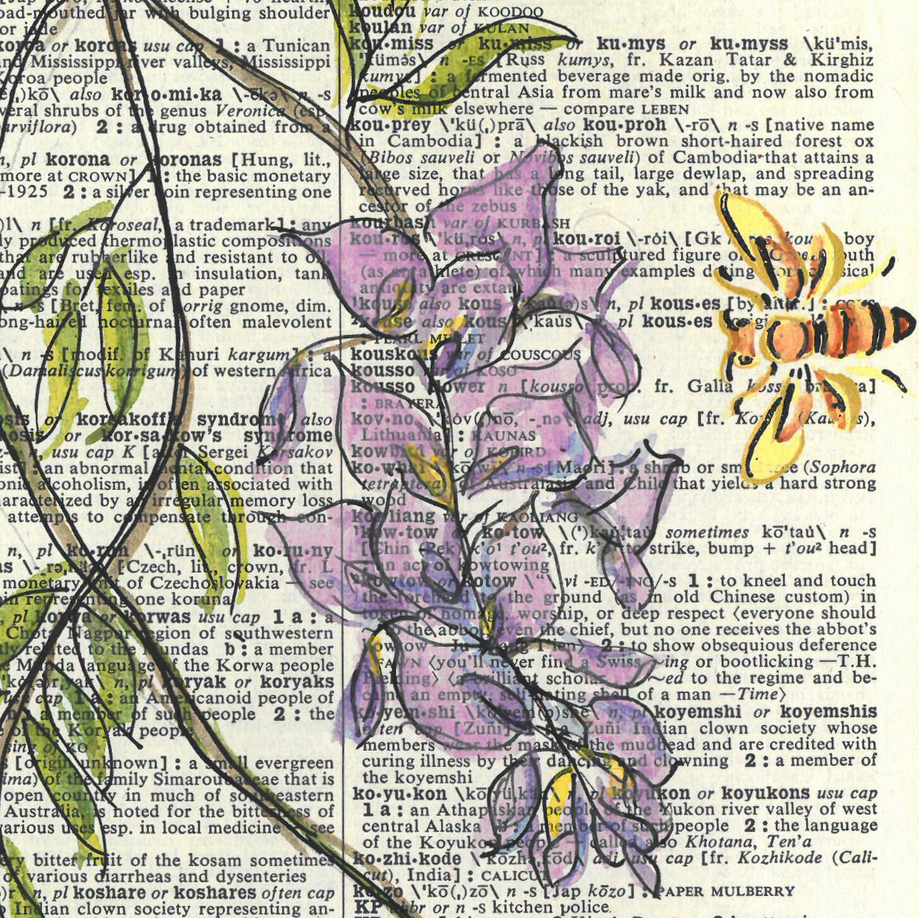 Wisteria. Dictionary page art print.